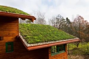 Green roof